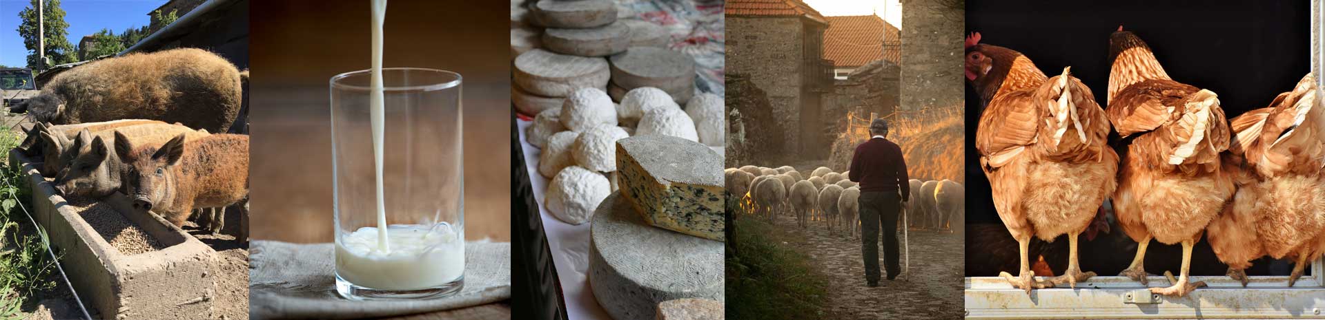 Produits frais de la ferme