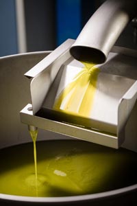 huile d'olive d’exception Ardéchoise