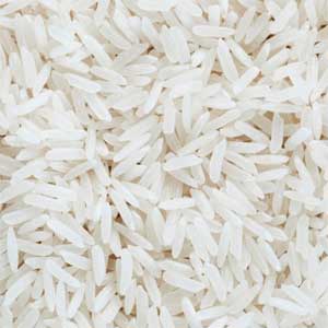 riz Camargue long blanc bio